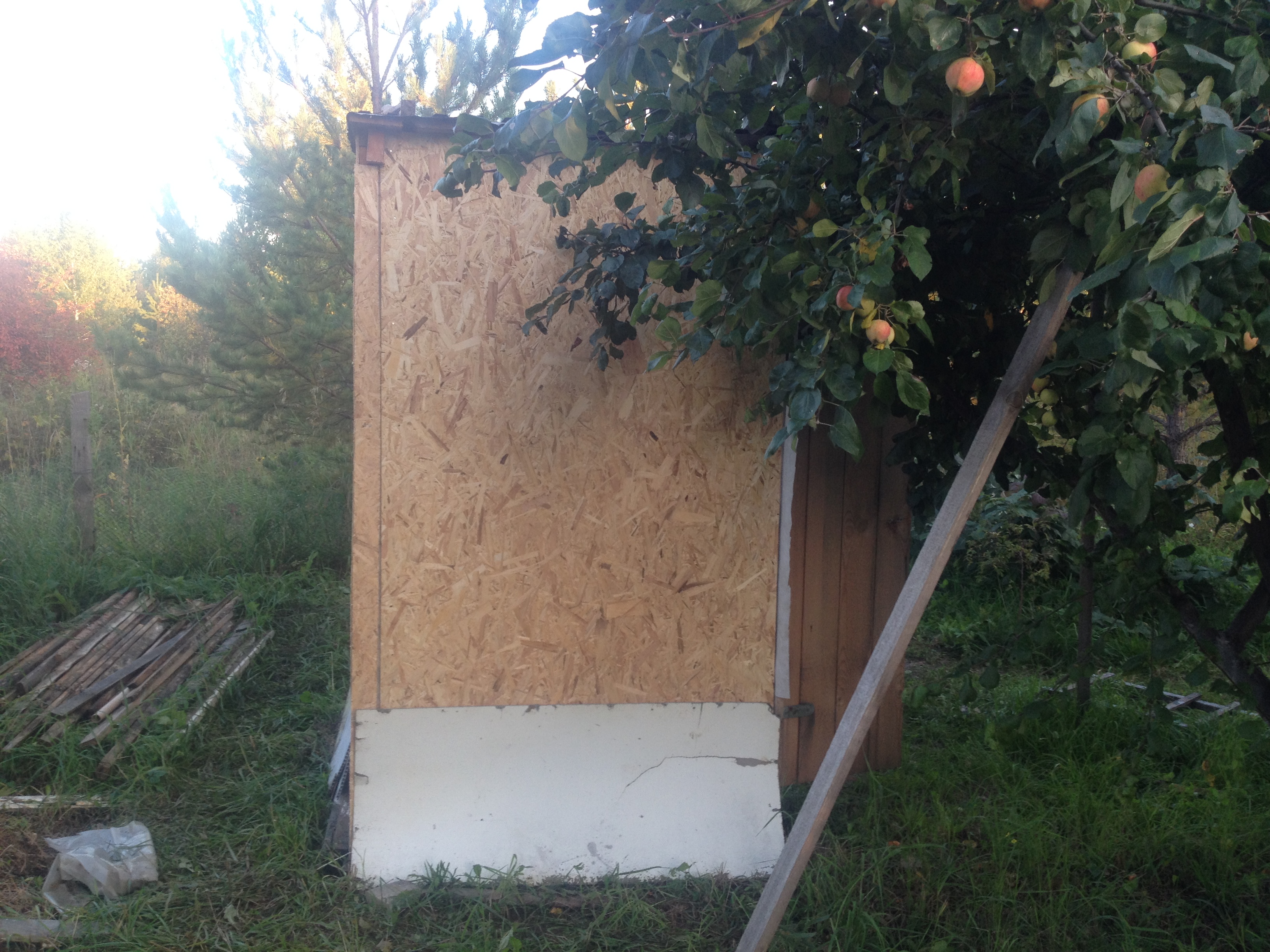 House from the container in the garden